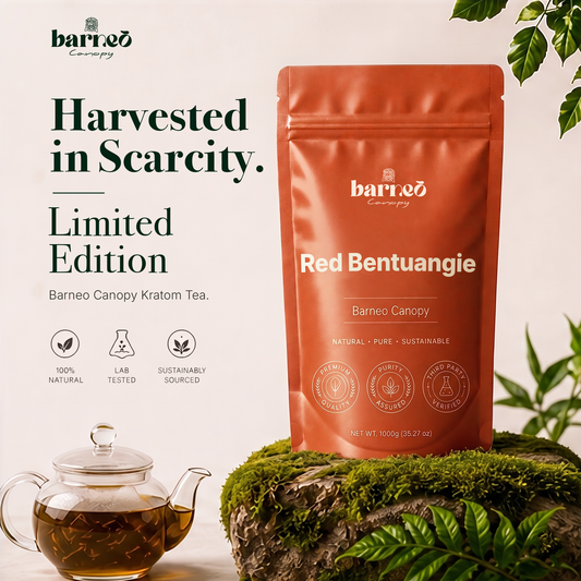 Barneo Canopy Red Bentuangie Kratom  Powder